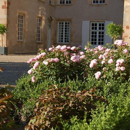 Villeneuve-sur-Allier Chateau Du Riau Bed & Breakfast エクステリア 写真