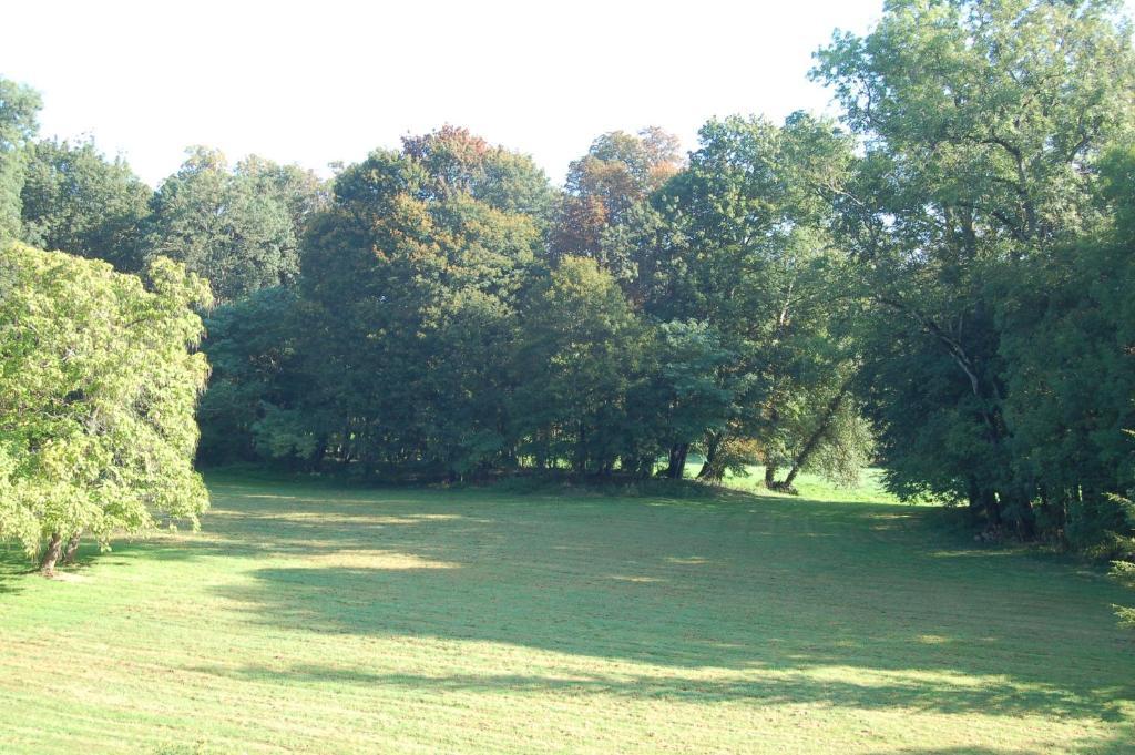 Villeneuve-sur-Allier Chateau Du Riau Bed & Breakfast エクステリア 写真