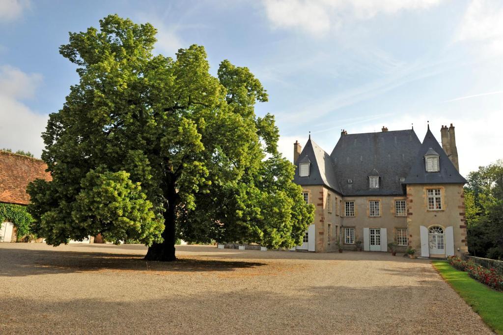 Villeneuve-sur-Allier Chateau Du Riau Bed & Breakfast エクステリア 写真